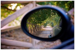 retrovisor