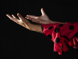 Cultura del Flamenco en el IES Villavieja
